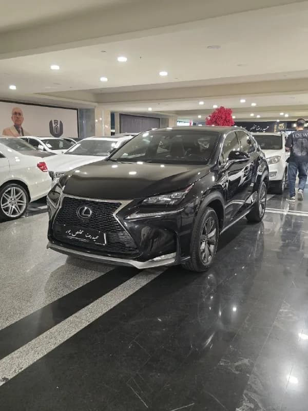 لکسوس NX — عکس ۱ از ۱