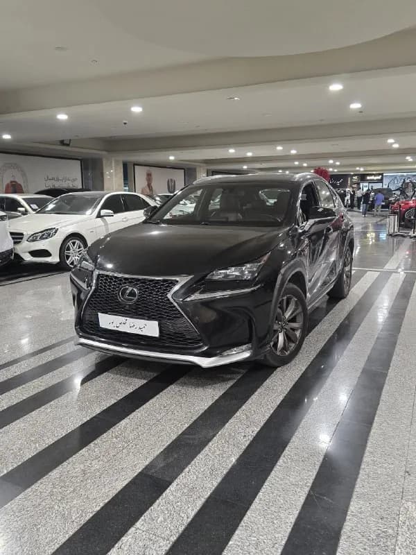 لکسوس NX — عکس ۱ از ۶