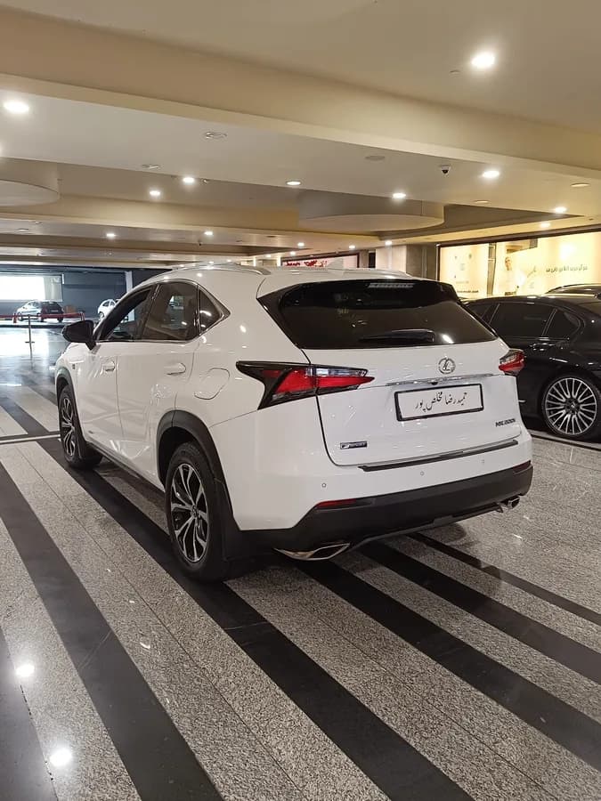 لکسوس NX — عکس ۶ از ۶