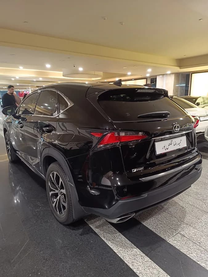 لکسوس NX — عکس ۶ از ۶
