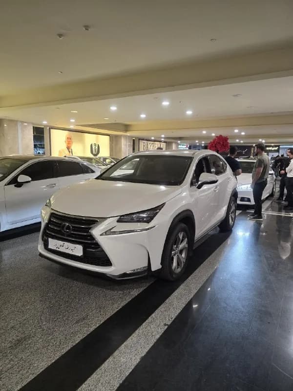 لکسوس NX — عکس ۱ از ۶
