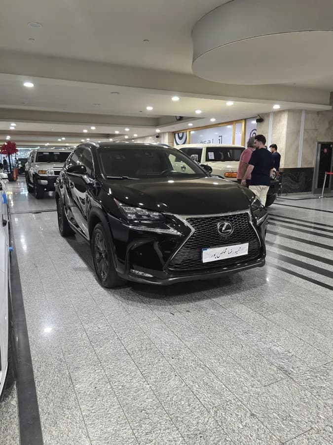 لکسوس NX — عکس ۴ از ۶