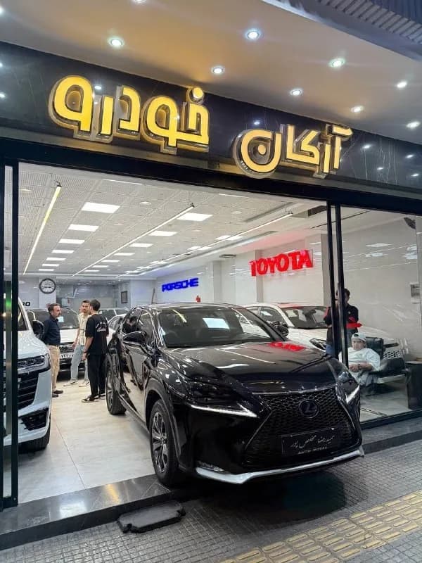 لکسوس NX — عکس ۱ از ۱