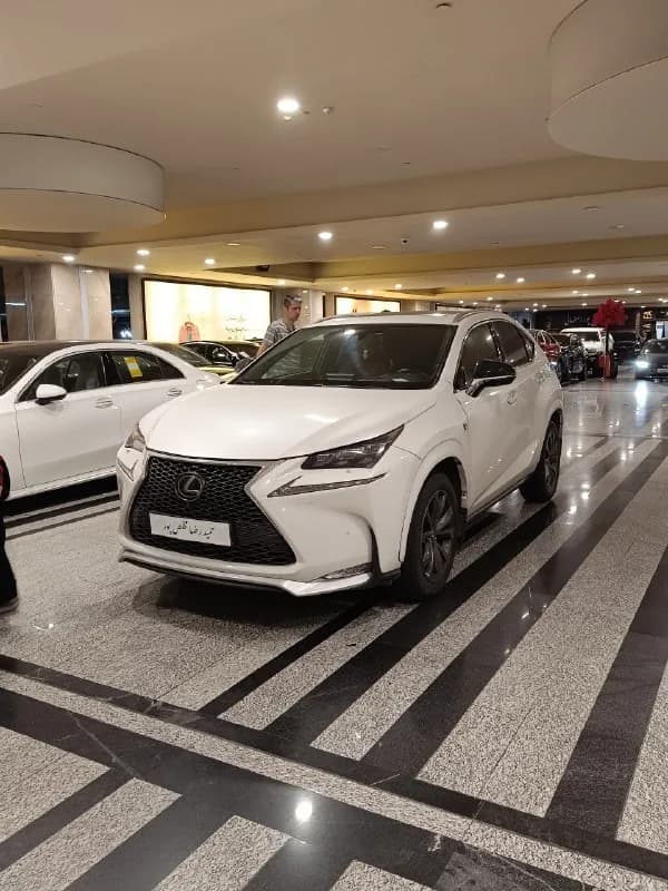 لکسوس NX — عکس ۱ از ۷
