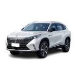 روئوه (roewe)