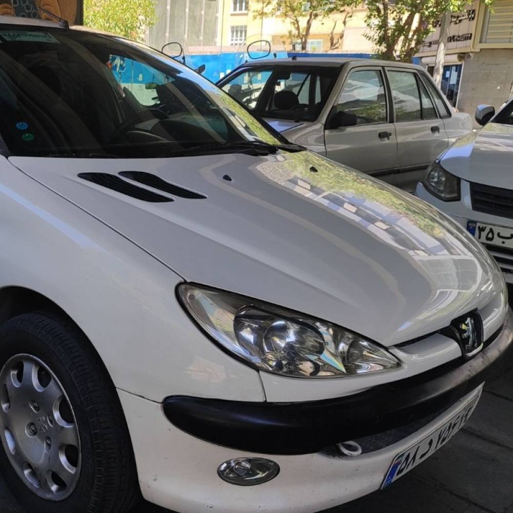 پژو مدل 206 SD V8 سال 1393  کارکرده