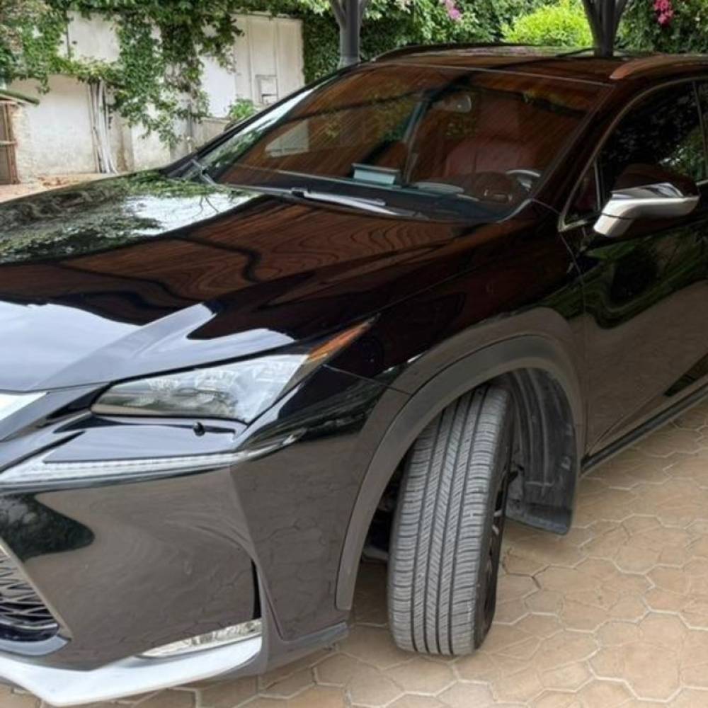 لکسوس مدل NX200  کارکرده