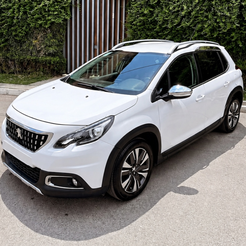 پژو (PEUGEOT) پژو 2008 سال 2008