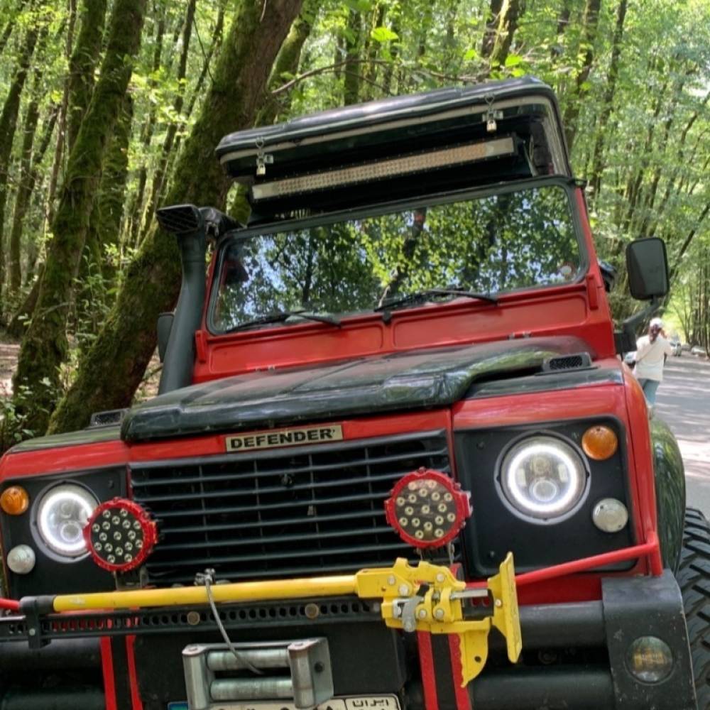 پاژان چهار در مدل 1386