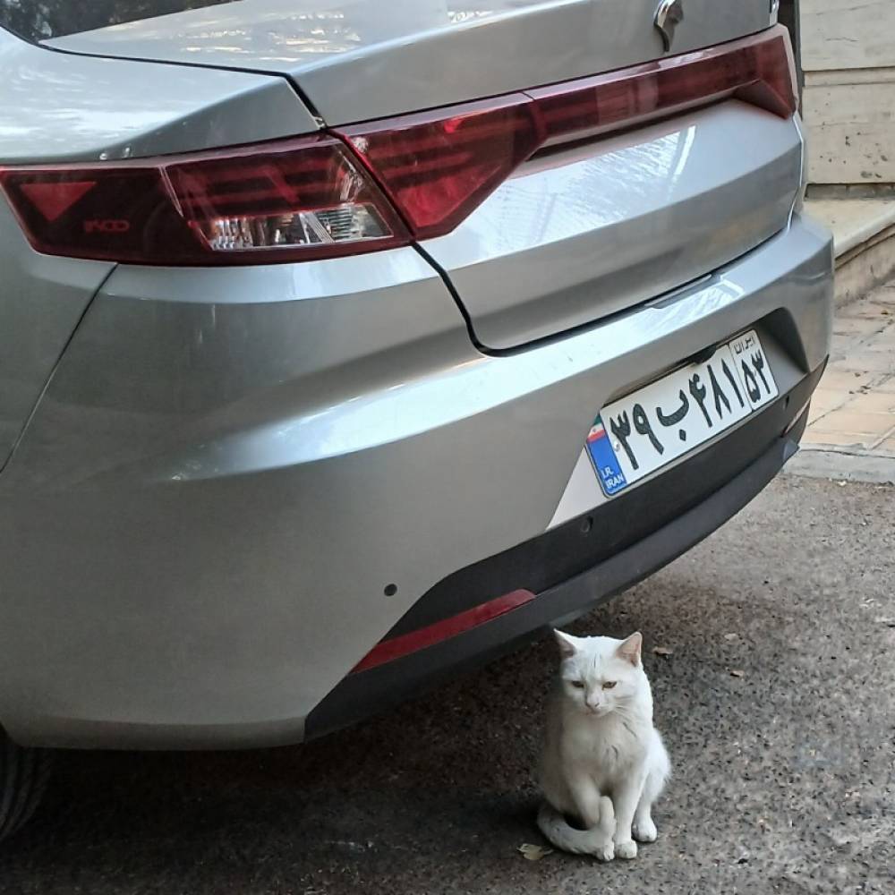 تارا مدل اتوماتیک V4 مدل LX سال 1404  کارکرده