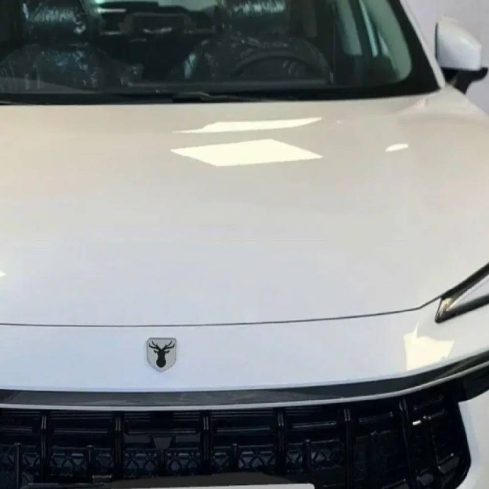 لاماری مدل ایما سال 1402  کارکرده