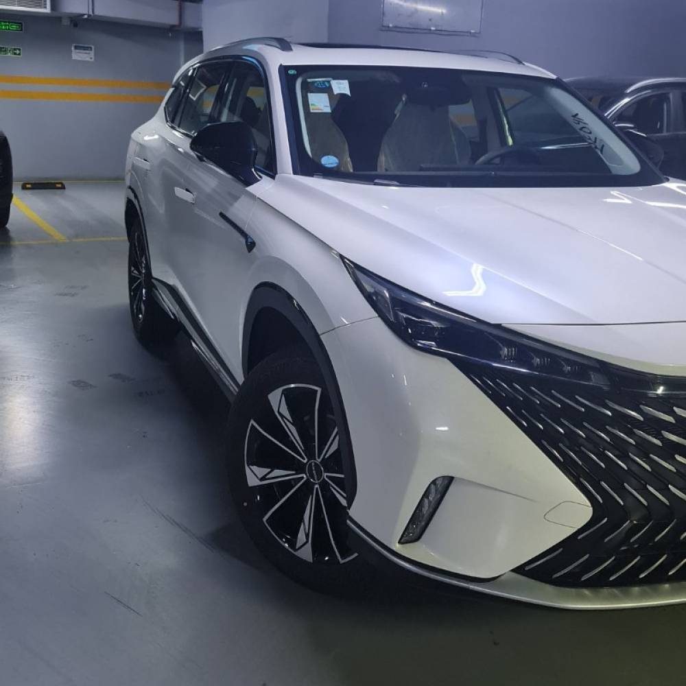 روئوه مدل erx5 1.5 لیتر توربو سال 2023  صفر