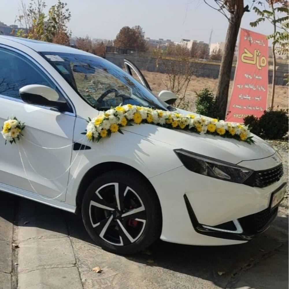 بهمن موتور مدل ریسپکت 2  کارکرده
