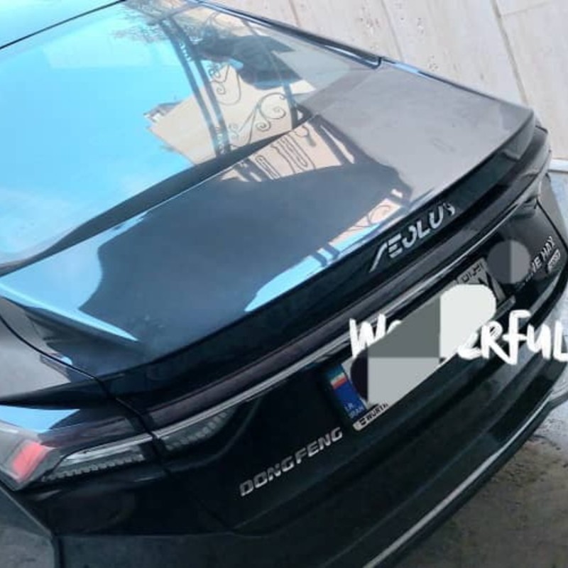 دانگ فنگ مدل شاین مکس سال 2023  کارکرده