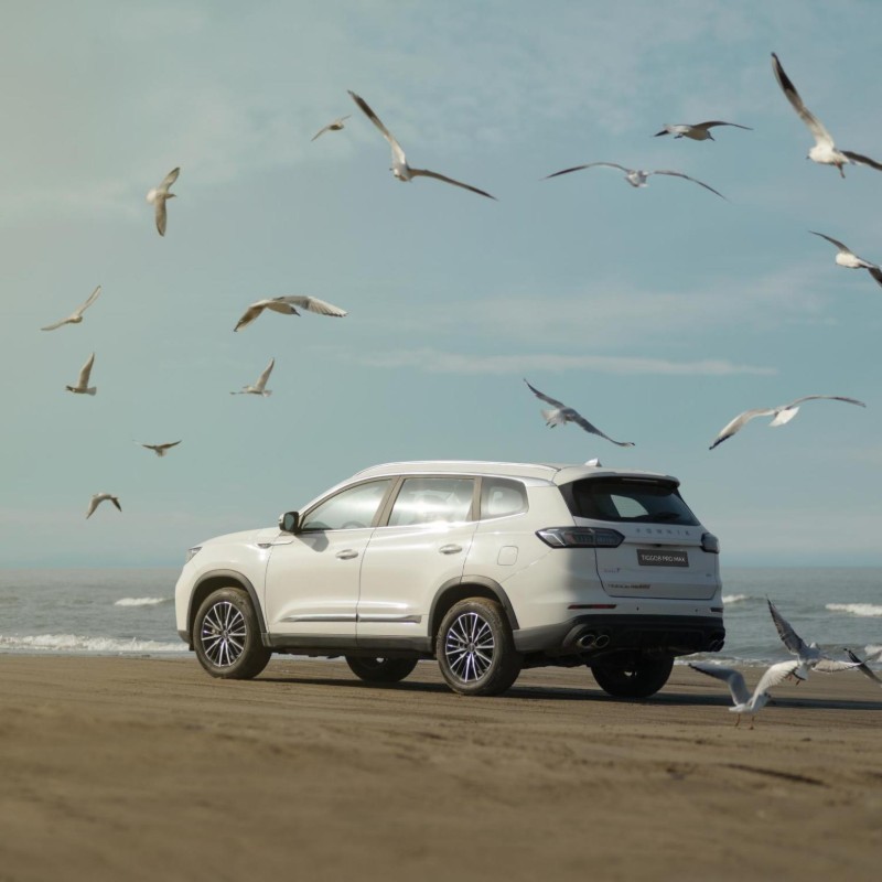 فونیکس مدل تیگو 8 پرومکس سال 1404  صفر