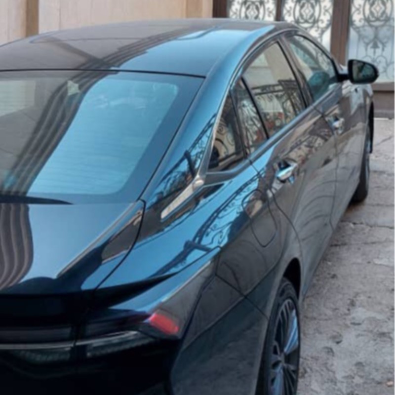 دانگ فنگ مدل شاین مکس سال 2023  کارکرده