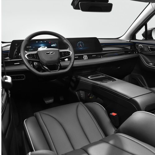 فونیکس مدل FX EV سال 2024  صفر