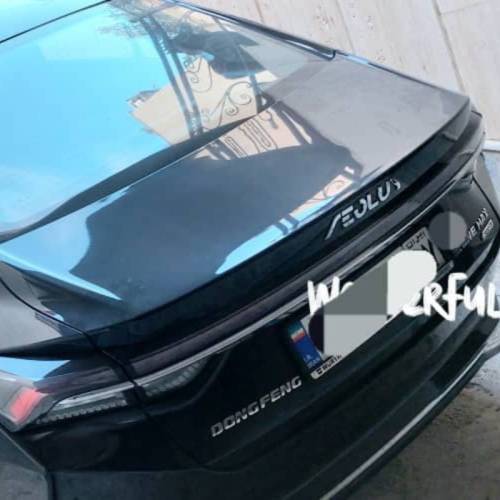 دانگ فنگ مدل شاین مکس سال 2023  کارکرده