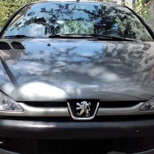 پژو (PEUGEOT) 206 تیپ 5 سال 1393