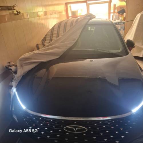 فونیکس مدل FX سال 1403  صفر