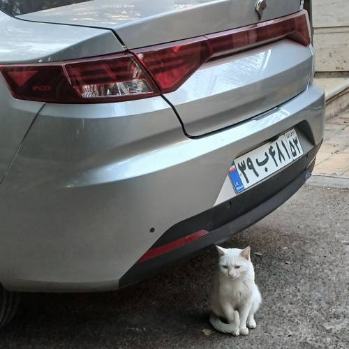 تارا مدل اتوماتیک V4 مدل LX سال 1404  کارکرده