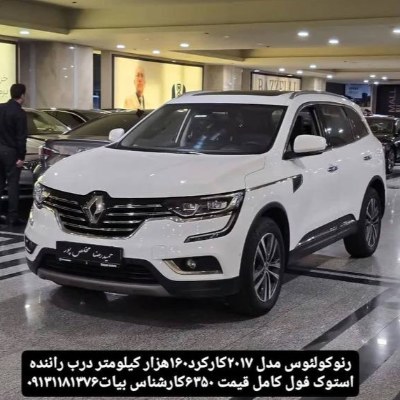 کولئوس