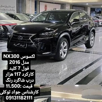 لکسوس nx13