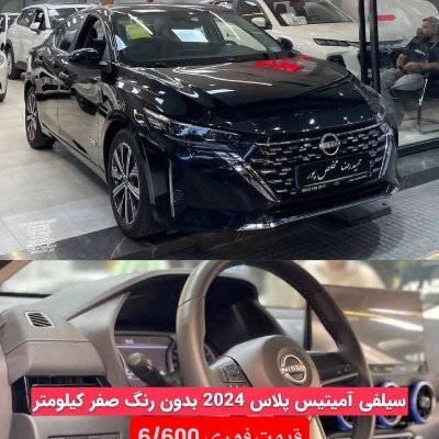 سلیفی آمیتیس